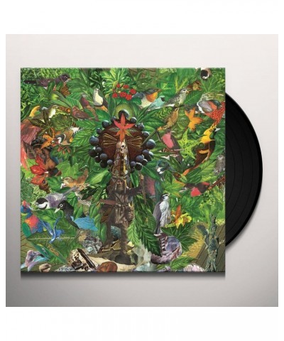 Plankton Wat Drifter's Temple Vinyl Record $11.04 Vinyl