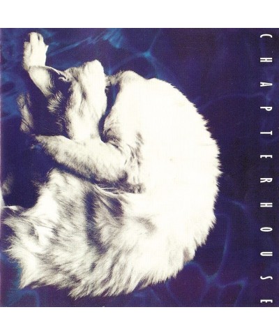 Chapterhouse Whirlpool Vinyl Record $13.80 Vinyl