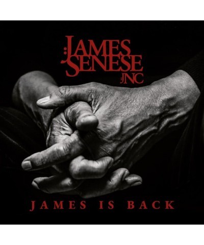 James Senese & Napol JAMES IS BACK Vinyl Record $11.55 Vinyl