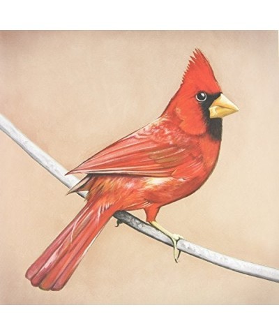 Alexisonfire Old Crows / Young Cardinals Vinyl Record $10.73 Vinyl