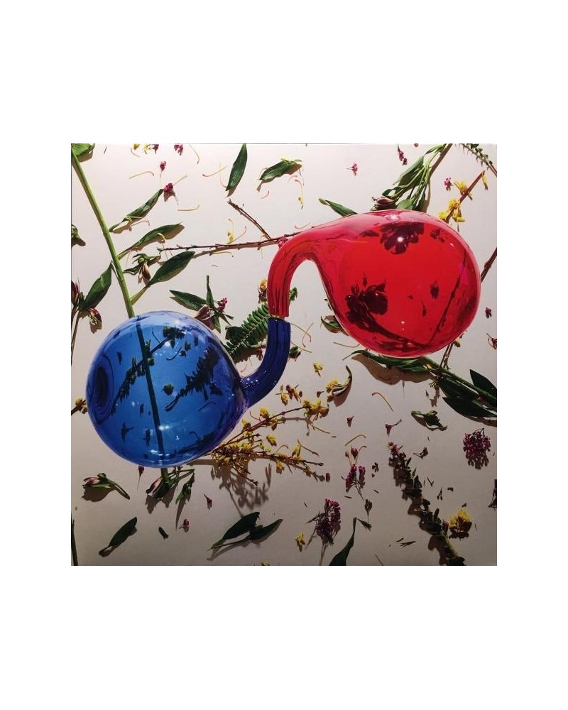 Dirty Projectors LAMP LIT PROSE (DL CARD) Vinyl Record $10.96 Vinyl