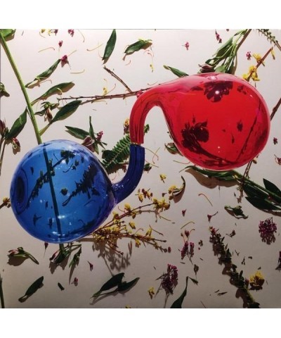 Dirty Projectors LAMP LIT PROSE (DL CARD) Vinyl Record $10.96 Vinyl