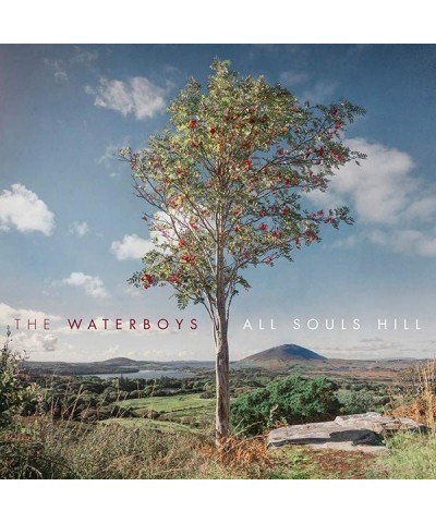 The Waterboys All Souls Hill Vinyl Record $12.04 Vinyl